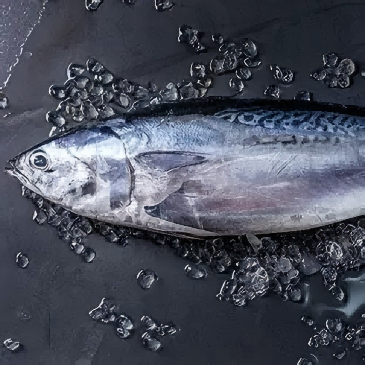 Quick-frozen seafood processing