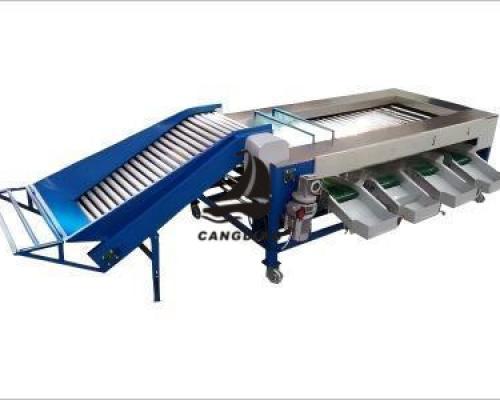 Fruit and vegetable grader