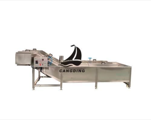 Vegetables blanching machine